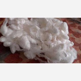 Silk Cocoon Fibre